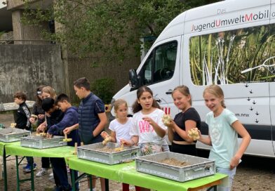 Der Wolf macht Schule – das JugendUmweltMobil (JUM) zu Gast am GyH